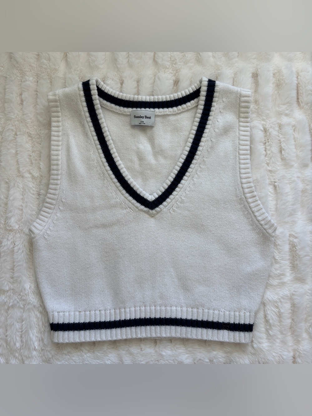 Aritzia sweater vest